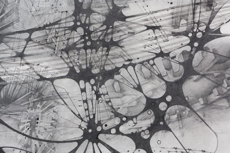 A detail of a graphite on paper drawing titled Memory II by Stephen Talasnik.