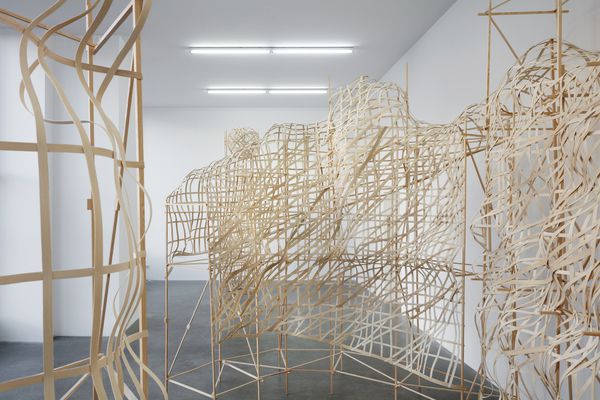 A woven flat reed installation titled Hive: Berlin by Stephen Talasnik at Architektur Galerie, Berlin.