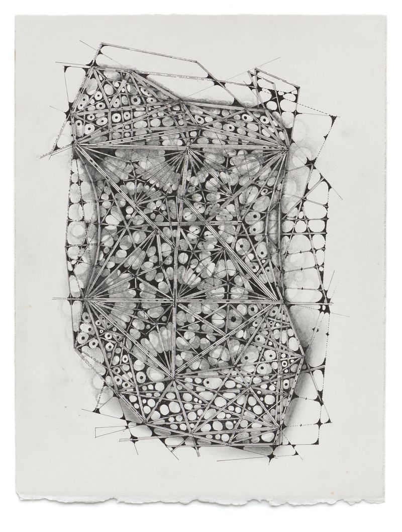 An image of a drawing from the Isolate series by Stephen Talasnik.
