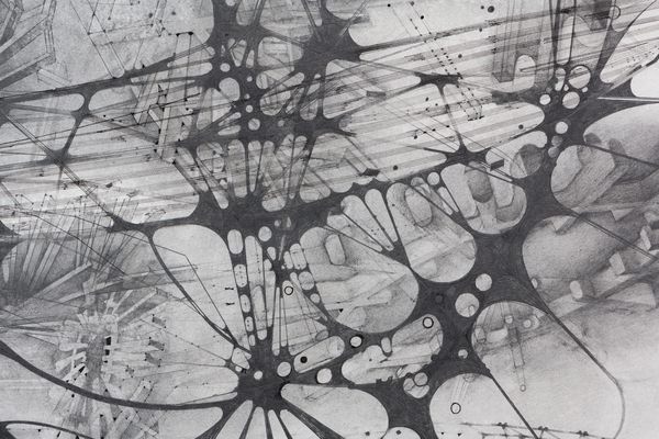 A detail image of a graphite on paper drawing titled Memory II by Stephen Talasnik.