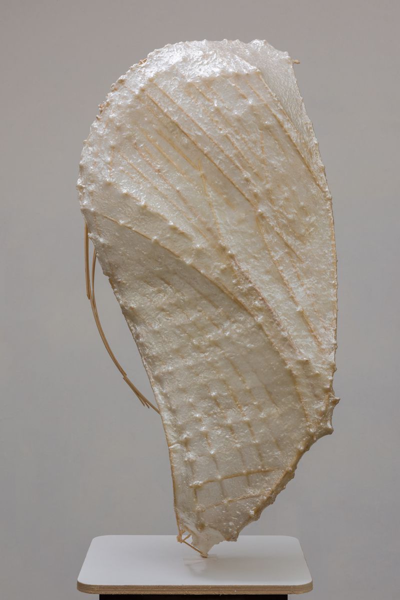 A wood and artificial membrane sculpture titled Sheath by Stephen Talasnik.